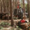 FORWARDER FW1467
